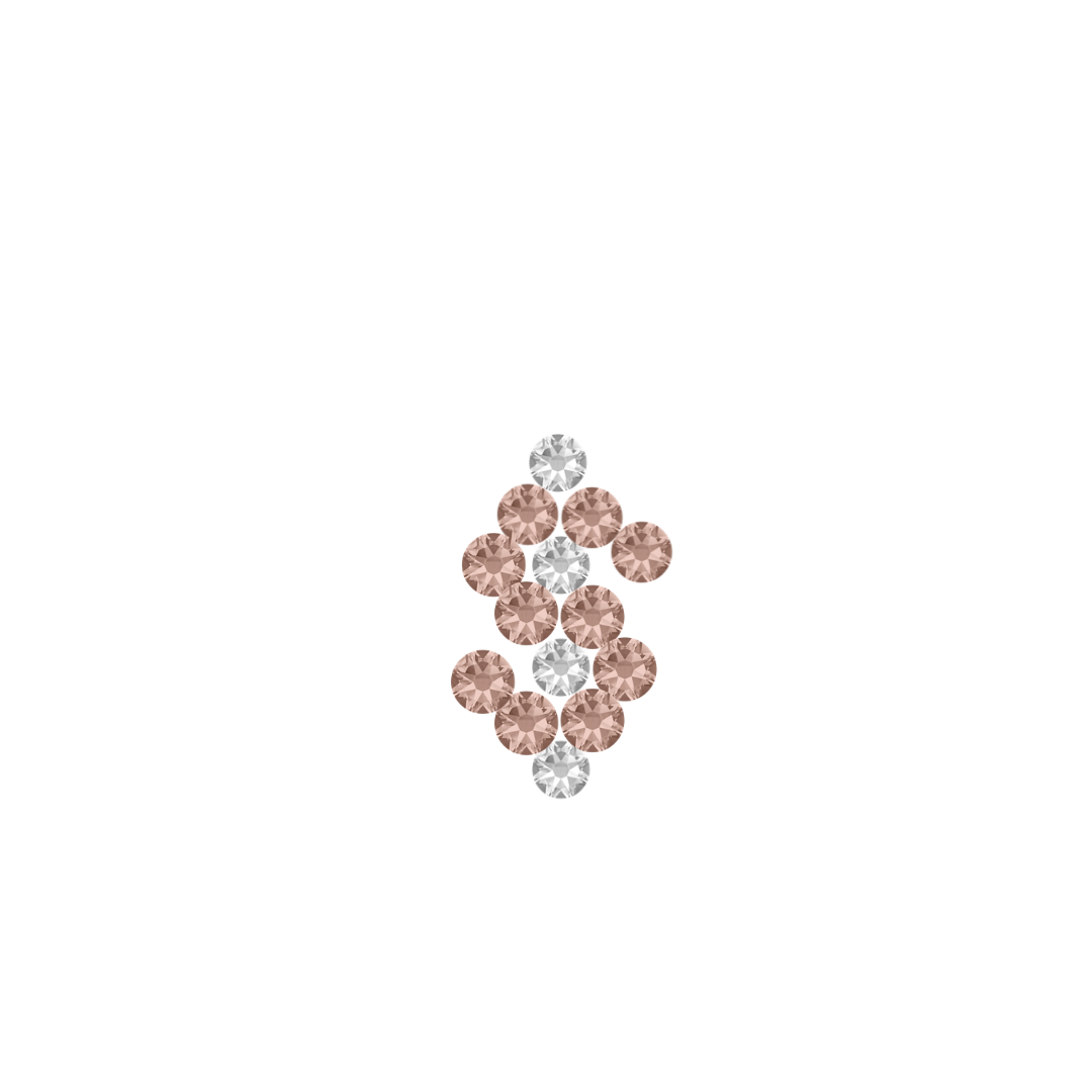 DOLLAR SIGN SET