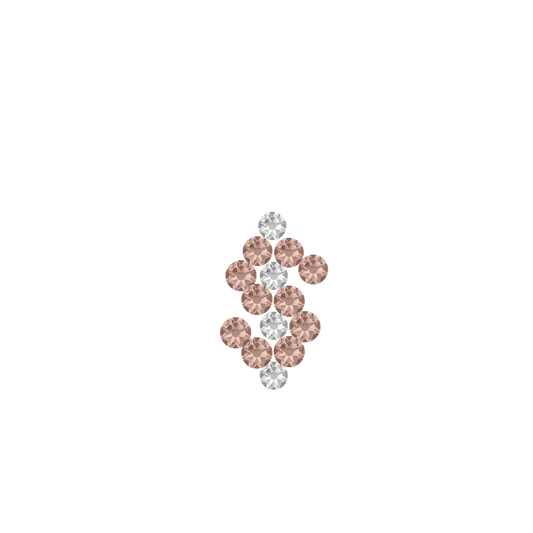 DOLLAR SIGN SET