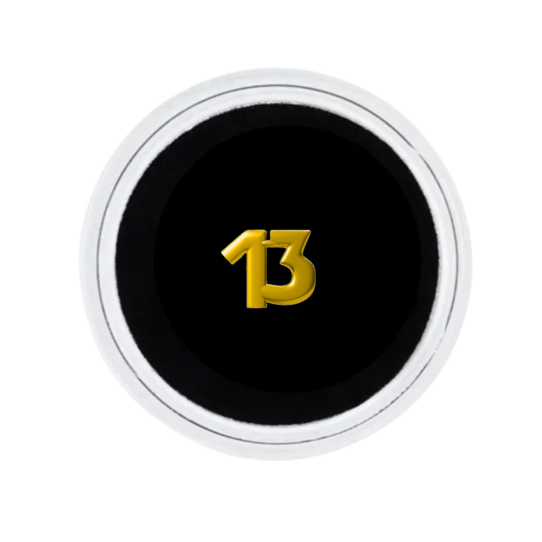 18K GOLD TOOTH GEM “13”